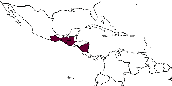 map of Centris jakalteka     Vivallo, Vásquez-Lenis & Mérida-Rivas, 2023